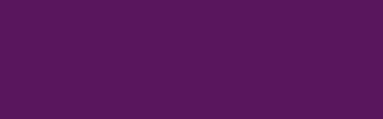 iDye Poly 450g Violet